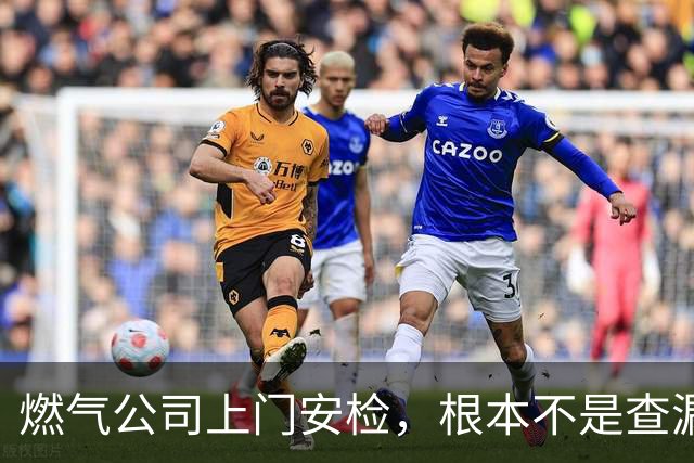 燃气公司上门安检，根本不是查漏气！真正目的其实是这三件事